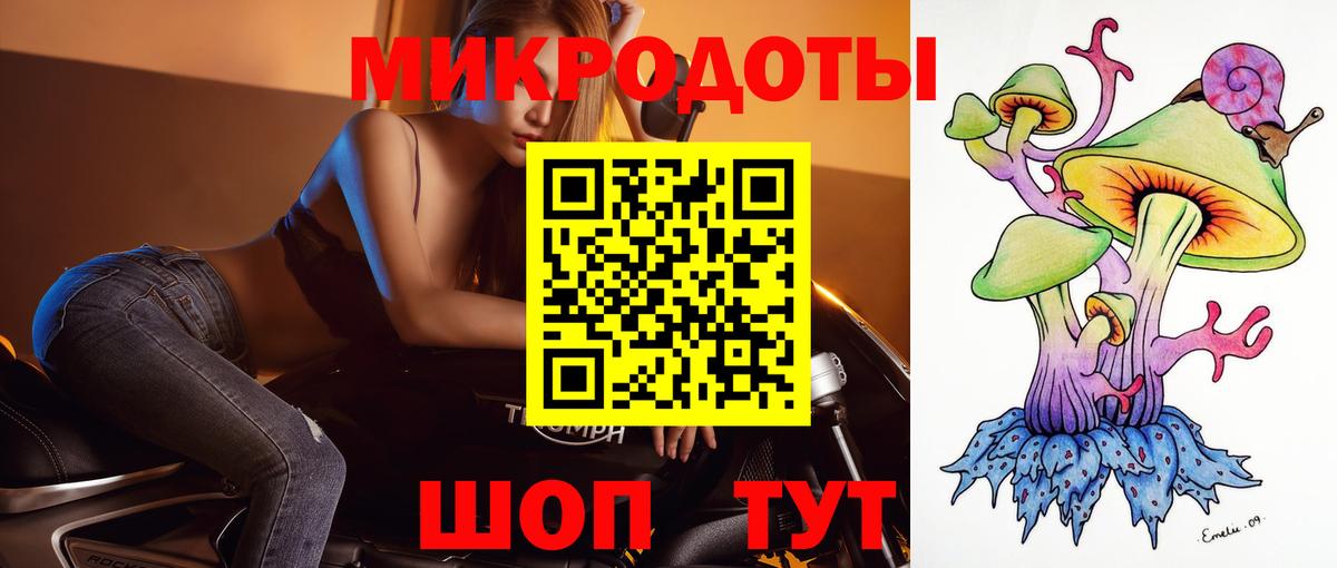 Псилоцибиновые грибы Psilocybine cubensis Советская Гавань